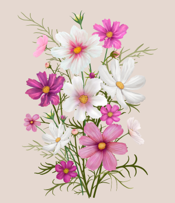 Intro Image
